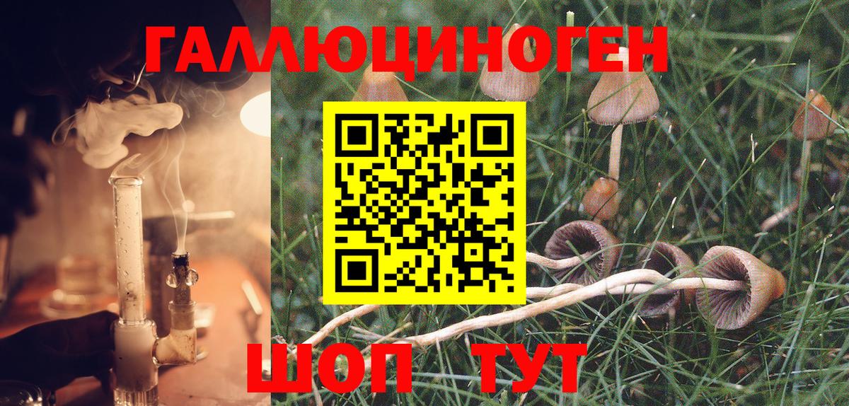 Галлюциногенные грибы Psilocybe  Вход с VPN  Советск 