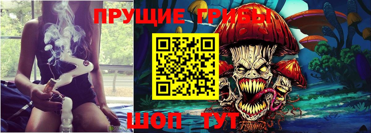 Псилоцибиновые грибы MAGIC MUSHROOMS Советск